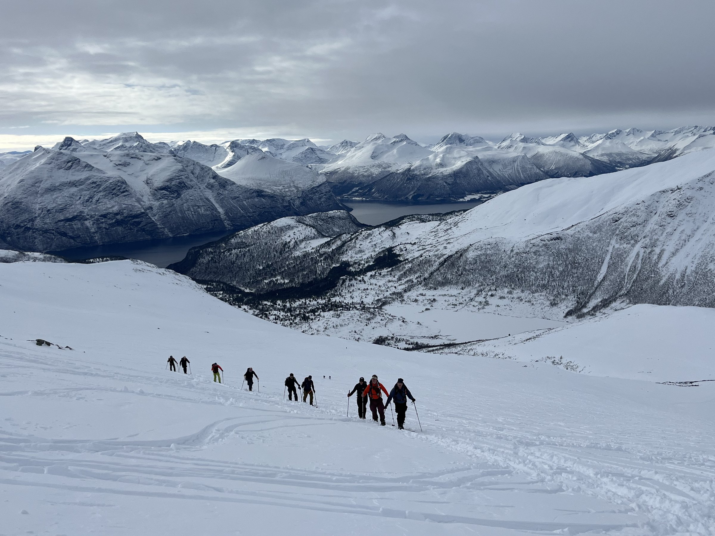Ski touring group descending toward fjords with mountain panorama